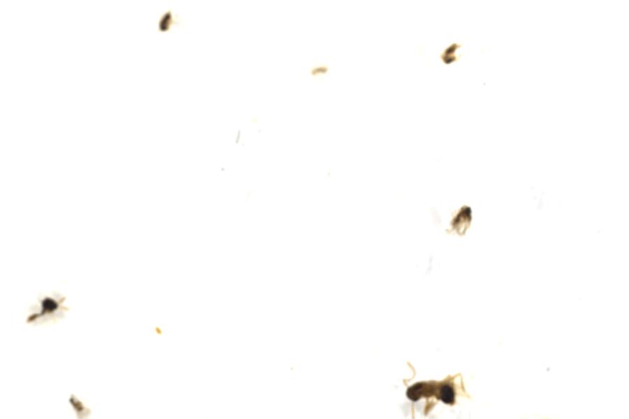 Image 103